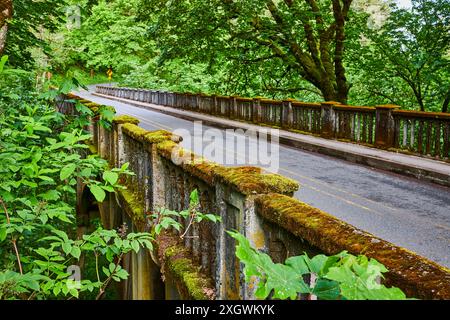 Alte moosbedeckte Steinbrücke in üppigem Wald mit Blick auf die Augenhöhe Stockfoto