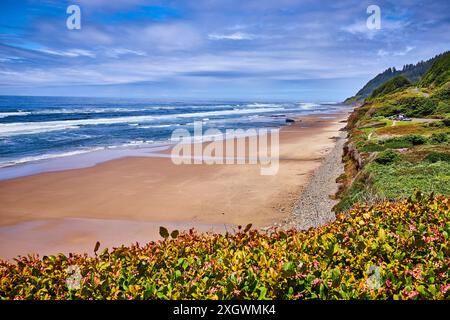 Ruhiger Sandstrand und Meereswellen mit blühender Cliffside von Elevated View Stockfoto