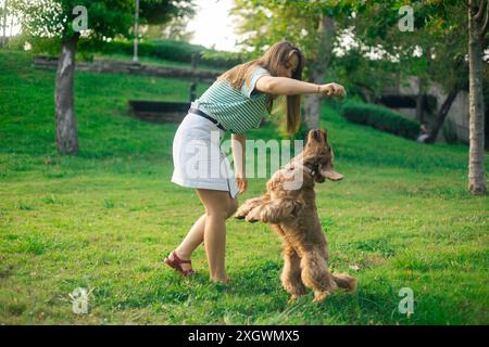 cocker Spaniel Hund, der Spaß hat und mit der jungen schönen Frau spielt Stockfoto