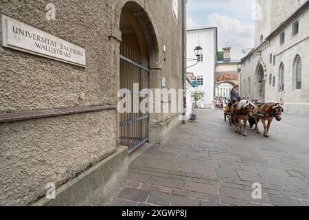 Salzburg, Österreich. 30. Juni 2024. Touristen, die das historische Zentrum der Stadt mit einer Pferdekutsche besuchen Stockfoto