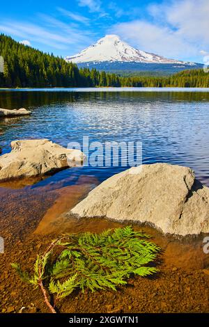 Mount Hood und Trillium Lake reflektieren von Water's Edge Stockfoto