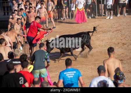 Junge Nachtschwärmer trotzen dem Stier, indem sie während des Bous a la Mar Festivals in Denia ins Wasser springen Stockfoto