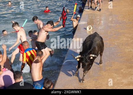 Denia, Alicante Spanien. Juli 2024. Junge Nachtschwärmer springen beim Bous a la Mar Festival l in Denia oder beim Bulls to the Sea Festival in Denia, Credit Eduardo Ripoll, ins Wasser. Stockfoto