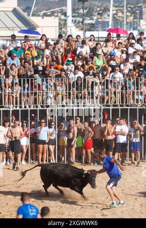 Junge Nachtschwärmer trotzen dem Stier, indem sie während des Bous a la Mar Festivals in Denia ins Wasser springen Stockfoto