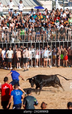 Junge Nachtschwärmer trotzen dem Stier, indem sie während des Bous a la Mar Festivals in Denia ins Wasser springen Stockfoto