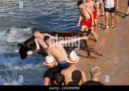 Denia, Alicante Spanien. Juli 2024. Ein Stier springt während des Bous a la Mar Festivals in Deniaor Bulls ins Meer, Credit Eduardo Ripoll. Stockfoto