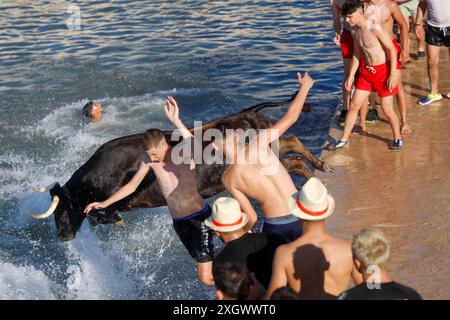 Denia, Alicante Spanien. Juli 2024. Ein Stier springt während des Bous a la Mar Festivals in Deniaor Bulls ins Meer, Credit Eduardo Ripoll. Stockfoto