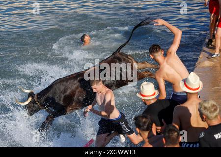 Denia, Alicante Spanien. Juli 2024. Ein Stier springt während des Bous a la Mar Festivals in Deniaor Bulls ins Meer, Credit Eduardo Ripoll. Stockfoto