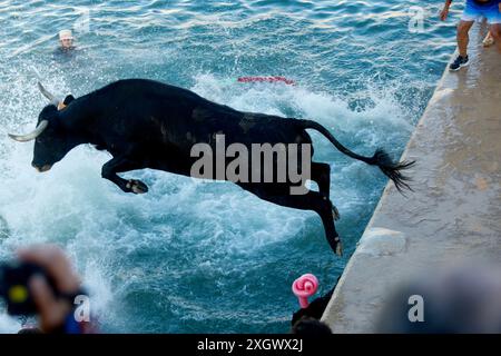 Denia, Alicante Spanien. Juli 2024. Ein Stier springt während des Bous a la Mar Festivals in Deniaor Bulls ins Meer, Credit Eduardo Ripoll. Stockfoto