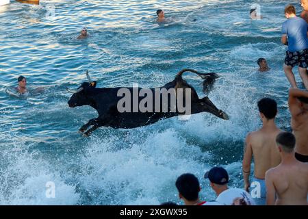 Denia, Alicante Spanien. Juli 2024. Ein Stier springt während des Bous a la Mar Festivals in Deniaor Bulls ins Meer, Credit Eduardo Ripoll. Stockfoto