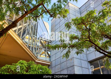 Modernes Bürogebäude mit Glasfassade und Bäumen gegenüber dem klaren Himmel nach oben Stockfoto