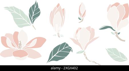 Vektor-Magnolienblume Silhouette, Satz der Illustration in weicher Pastellfarbe. Isoliertes Blumenelement. Blütenknospen in verschiedenen Formen für die Hochzeit Stock Vektor