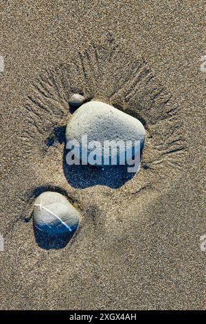 Smooth Stones in Wet Sand Nahaufnahme am Whaleshead Beach Stockfoto