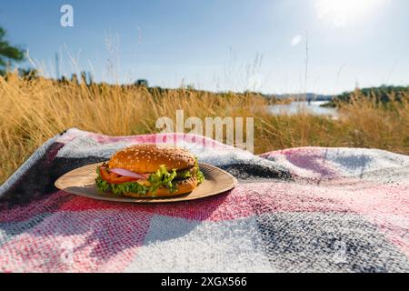 Der Burger liegt auf einer Decke am Flussufer (Nahaufnahme). Picknick im Freien an einem heißen und sonnigen Tag Stockfoto