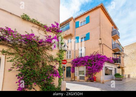 Lila Bougainvillea-Blumen säumen die Wände über den Geschäften in der Altstadt von Saint-Tropez, Frankreich, an der französischen Riviera Cote d'Azur. Stockfoto