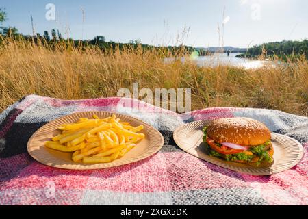 Einwegplatten aus Pappe mit Burgern und Pommes stehen auf einer Decke am Flussufer (Nahaufnahme). Picknick im Freien an einem heißen und sonnigen Tag Stockfoto