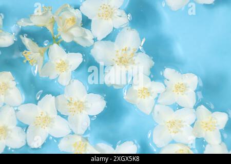 Wunderschöne Jasminblüten im Wasser auf hellblauem Hintergrund, Blick von oben Stockfoto