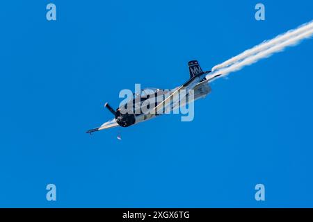 North American T-28B Trojan auf der Antidotum Air Show 2024 in Leszno, Polen Stockfoto