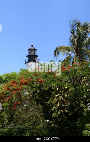 Eine vertikale Aufnahme des Key West Lighthouse, eingebettet in üppiges Laub und Palmen an einem sonnigen Tag in Key West, Florida, USA Stockfoto
