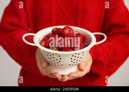 Frau, die Sieb mit süßen frischen Erdbeeren auf grauem Hintergrund hält, Nahaufnahme Stockfoto