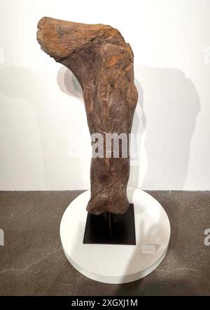 New York, New York, USA. Juli 2024. Erwachsener Tyrannosaurus Rex femur Late Cretaceous (vor ca. 67 Millionen Jahren), Hell Creek Formation, Butte Co., South Dakota, geschätzte 300.000 - 500.000$, zu sehen bei der Pressevorschau für die Natural History Geek Week Auktion in Sotheby's New York. Die beträchtliche Länge des fossilen Oberschenkelknochens '''''' 46Â½ Inch (1,18 m) '''“ deutet darauf hin, dass das gesamte Skelett fast 40 Fuß lang gewesen wäre und bis zu 7 Tonnen wog. (Kreditbild: © Nancy Kaszerman/ZUMA Press Wire) NUR REDAKTIONELLE VERWENDUNG! Nicht für kommerzielle ZWECKE! Stockfoto