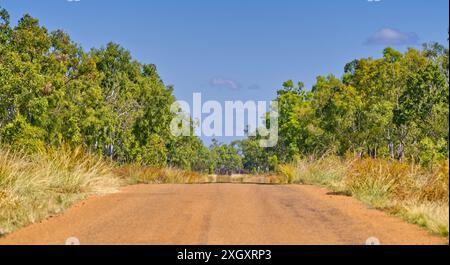 Abgelegener Abschnitt der roten Straße des Savannah Way in der Nähe von Burketown mit Bäumen und Gras und blauem Himmel, Golf von Carpentaria, Queensland, Australien Stockfoto