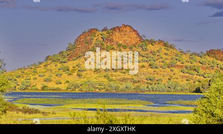 Am späten Nachmittag erleuchtet der rote Felsvorsprung im Spinifex-Gestrüpp mit Eukalyptusbäumen am Chinaman Creek Dam, Cloncurry, Queensland, Australien Stockfoto