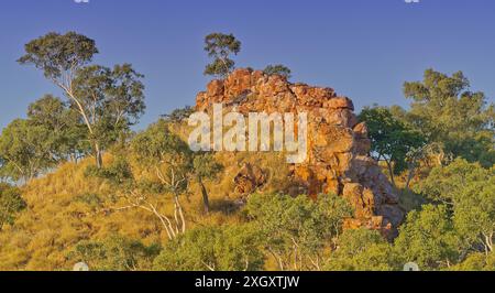 Am späten Nachmittag erleuchtet der rote Felsvorsprung im Spinifex-Gestrüpp mit Eukalyptusbäumen am Chinaman Creek Dam, Cloncurry, Queensland, Australien Stockfoto