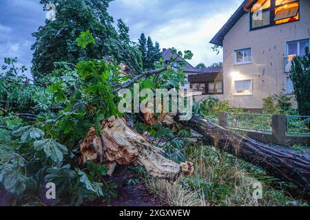 Schweres Unwetter sorgt für Chaos in Rastatt: Schwerer Downburst Fallböe peitscht mit Sturm und Starkregen durch Rastatt unzählige Bäume stürzt wie Streichhölzer um und Straßen werden überflutet Lastwagenfahrer filmt vom Fahrersitz wie es sollte ein schwülwarmer Sommerabend werden, doch plötzlich verdunkelte sich der Himmel und in Rastatt in Baden-Württemberg brach binnen weniger Augenblicke das Chaos aus. Ein schweres Unwetter verwüstete große Teile der Stadt: Bäume entwurzeln, Häuser werden abgedeckt, Fensterscheiben zerbersten, Straßen werden überflutet, das geplante EM-Public-Viewing wird Stockfoto