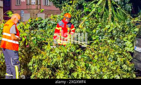 Schweres Unwetter sorgt für Chaos in Rastatt: Schwerer Downburst Fallböe peitscht mit Sturm und Starkregen durch Rastatt unzählige Bäume stürzt wie Streichhölzer um und Straßen werden überflutet Lastwagenfahrer filmt vom Fahrersitz wie es sollte ein schwülwarmer Sommerabend werden, doch plötzlich verdunkelte sich der Himmel und in Rastatt in Baden-Württemberg brach binnen weniger Augenblicke das Chaos aus. Ein schweres Unwetter verwüstete große Teile der Stadt: Bäume entwurzeln, Häuser werden abgedeckt, Fensterscheiben zerbersten, Straßen werden überflutet, das geplante EM-Public-Viewing wird Stockfoto