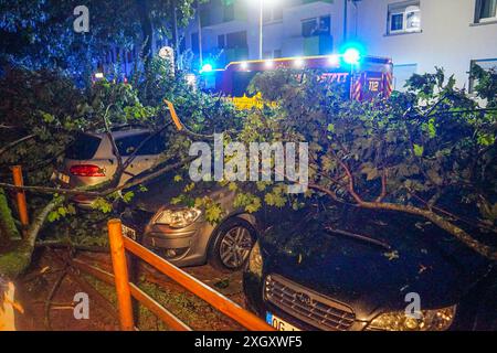 Schweres Unwetter sorgt für Chaos in Rastatt: Schwerer Downburst Fallböe peitscht mit Sturm und Starkregen durch Rastatt unzählige Bäume stürzt wie Streichhölzer um und Straßen werden überflutet Lastwagenfahrer filmt vom Fahrersitz wie es sollte ein schwülwarmer Sommerabend werden, doch plötzlich verdunkelte sich der Himmel und in Rastatt in Baden-Württemberg brach binnen weniger Augenblicke das Chaos aus. Ein schweres Unwetter verwüstete große Teile der Stadt: Bäume entwurzeln, Häuser werden abgedeckt, Fensterscheiben zerbersten, Straßen werden überflutet, das geplante EM-Public-Viewing wird Stockfoto