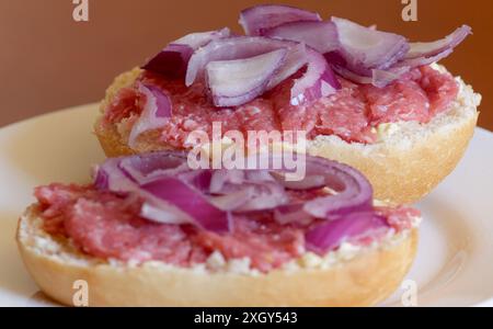 Zwei Halbmettbrötchen mit Zwiebeln auf einem Teller Stockfoto