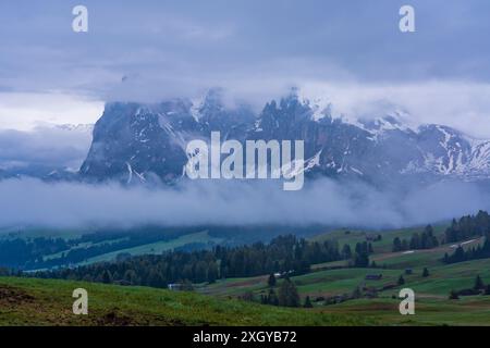 Panoramablick auf die Langkofelgruppe von der Seiser Alm in den Dolomiten in Südtirol, Italien. Stockfoto