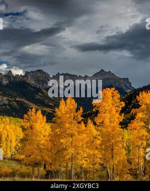 Approaching Storm, Espen, Cimarron Ridge, Abgrund Peak, Uncompahgre National Forest, Colorado Stockfoto