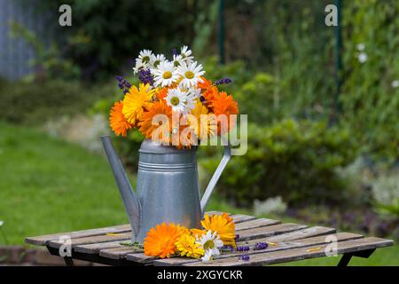 Schöne frische Sommerblumen in einer Gießkanne auf dem Tisch Stockfoto
