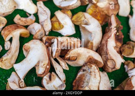 Stachelpilze (Boletus edulis) an einem Marktstand, Deutschland Stockfoto