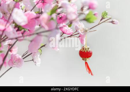 Wunderschöner künstlicher Kirschblütenbaum und orientalische chinesische rote Laterne auf Zweig. Traditionelle asiatische Einrichtung. Rosa und weiße Blumen von Sakura. Stockfoto