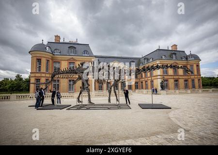 Paris, Frankreich. Juli 2024. Ein Dinosaurierskelett von Apatosaurus ist am 10. Juli 2024 in der Burg Dampierre-en-Yvelines in Dampierre-en-Yvelines, südlich von Paris, Frankreich, ausgestellt. Das 21 Meter lange Skelett von vor etwa 150 Millionen Jahren soll im November dieses Jahres versteigert werden. Quelle: Aurelien Morissard/Xinhua/Alamy Live News Stockfoto