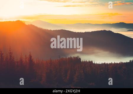 Ein Panoramablick auf eine Bergkette im goldenen Licht des Sonnenaufgangs. Die Gipfel sind von einer dicken Nebelschicht umhüllt, was eine dramatische und ätherische Landschaft schafft. Stockfoto