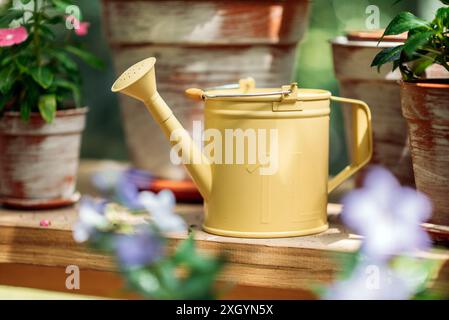 Ein Gärtner-Behälter aus gelbem Metall im Gewächshaus. Stockfoto