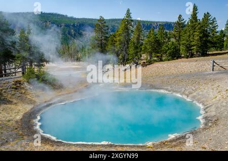 Das Black Sand Basin, das Handschneckenbecken im Yellowstone-Nationalpark. Wyoming Stockfoto