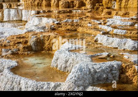 Die Palettenfedern. Dämonen Daumen in den Mammoth Hot Springs. Yellowstone-Nationalpark. Wyoming. USA Stockfoto