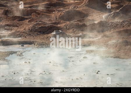 Der Fountain Paint Pot im Lower Geyser Basin, Mudpots, im Yellowstone National Park, Wyoming Stockfoto