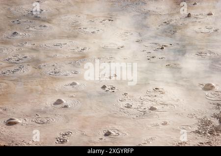 Der Fountain Paint Pot im Lower Geyser Basin, Mudpots, im Yellowstone National Park, Wyoming Stockfoto