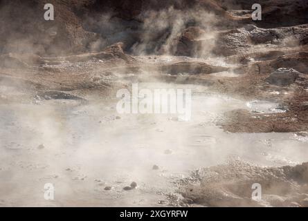 Der Fountain Paint Pot im Lower Geyser Basin, Mudpots, im Yellowstone National Park, Wyoming Stockfoto