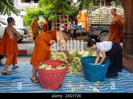 Chiang Mai, Thailand. Juli 2024. Mönche bereiten sich darauf vor, Chinakohl an die Dorfbewohner im Tempel Wat Chedi Luang Worawihan in Chiang Mai zu verteilen. Quelle: SOPA Images Limited/Alamy Live News Stockfoto