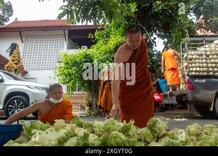 Chiang Mai, Thailand. Juli 2024. Mönche bereiten sich darauf vor, Chinakohl an die Dorfbewohner im Tempel Wat Chedi Luang Worawihan in Chiang Mai zu verteilen. Quelle: SOPA Images Limited/Alamy Live News Stockfoto