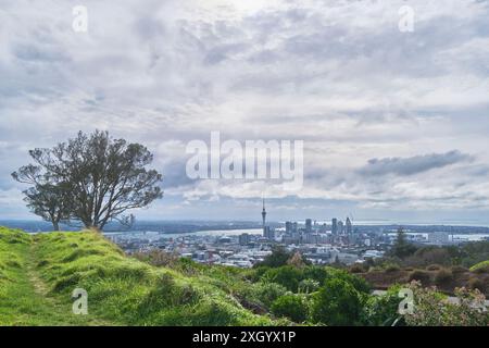 Grüne Hügel von Mount Eden mit Blick auf Auckland City Stockfoto