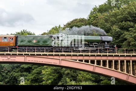 Der Flying Scotsman Steam Train überquert die Victoria Bridge zwischen Arley und Bewdley Worcestershire Stockfoto