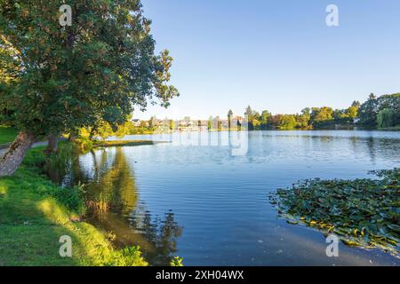 Juessee Herzberg am Harz Harz Niedersachsen, Niedersachsen Deutschland Stockfoto